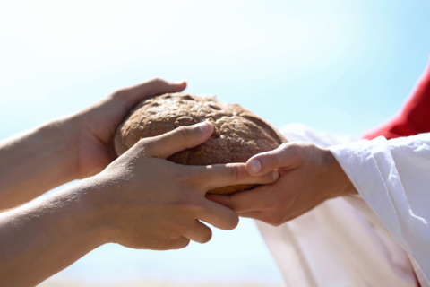 Giornata mondiale alimentazione