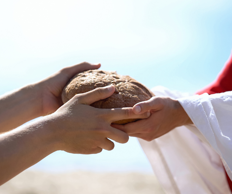 Giornata mondiale alimentazione